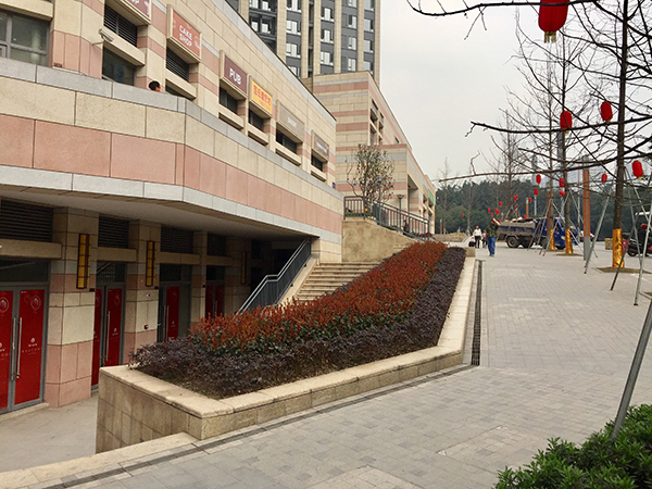 QQ图片20180307155727.jpg